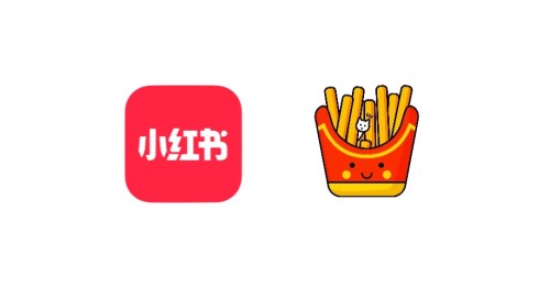 Xiaohongshu Shutiao Fries