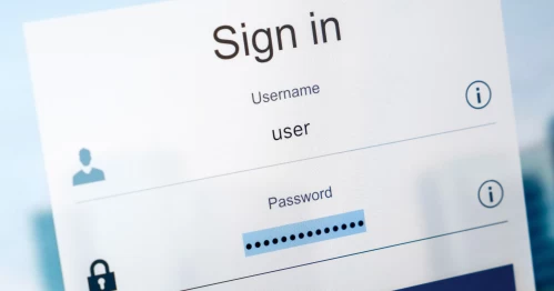 How to Store 100 Passwords Safely