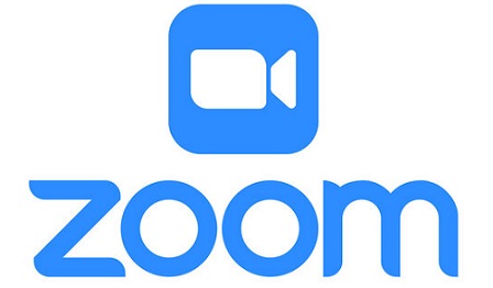 Web Design and Development Zoom Meetings